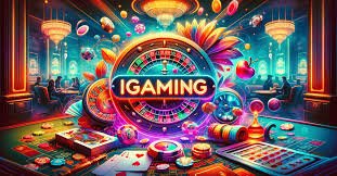 677 bet